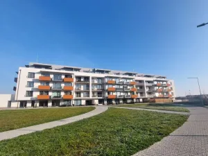 Pronájem garáže, Olomouc, Aloise Rašína, 12 m2