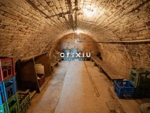 Prodej rodinného domu, Hrušovany nad Jevišovkou, Drnholecká, 160 m2