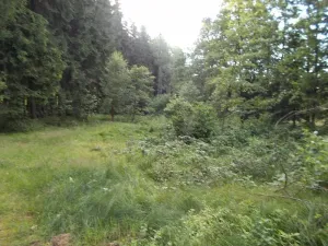 Prodej louky, Velký Šenov, 3266 m2