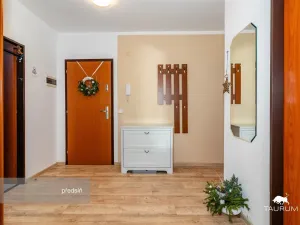 Prodej bytu 4+1, Mladá Boleslav - Mladá Boleslav II, 17. listopadu, 110 m2