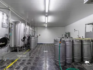 Prodej restaurace, Rokycany - Plzeňské Předměstí, Sokolská, 413 m2