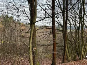 Prodej pozemku, Jílové u Prahy, 3438 m2