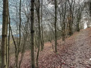 Prodej pozemku, Jílové u Prahy, 3438 m2