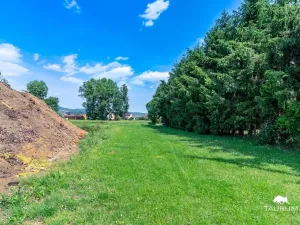 Prodej pozemku pro bydlení, Chodouň, 13216 m2