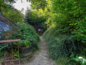 Prodej zahrady, Domažlice, 5634 m2