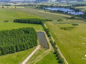 Prodej pozemku, Chudenín, 139968 m2