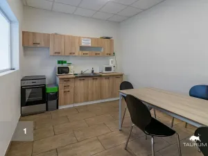 Prodej výrobních prostor, Zákupy, Nádražní, 21066 m2