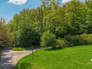 Prodej lesa, Petrov, 6490 m2