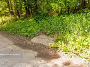 Prodej lesa, Petrov, 6490 m2