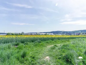 Prodej pozemku pro bydlení, Stříbro, 7355 m2