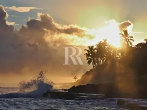 Prodej bytu 2+kk, Cabarete,Dominikánská republika, 72 m2