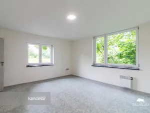 Prodej kanceláře, Plzeň - Jižní Předměstí, Kaplířova, 50 m2