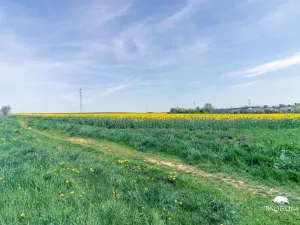 Prodej komerčního pozemku, Stříbro, 7355 m2