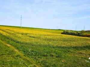 Prodej komerčního pozemku, Stříbro, 7355 m2