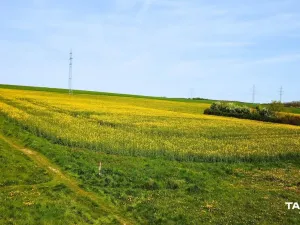 Prodej komerčního pozemku, Stříbro, 7355 m2