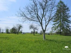 Prodej komerční nemovitosti, Ostrava - Svinov, Ostravská, 1000 m2