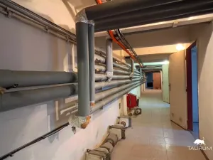 Prodej komerční nemovitosti, Ostrava - Svinov, Ostravská, 1000 m2