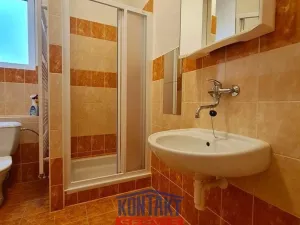 Pronájem bytu 1+kk, České Budějovice - České Budějovice 3, 32 m2