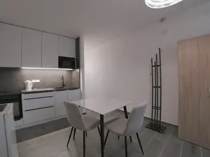 Pronájem bytu 1+kk, Dobřany, Sokolovská, 28 m2