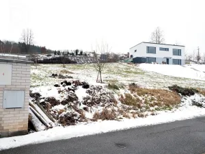 Prodej pozemku pro bydlení, Poříčí nad Sázavou, 1017 m2