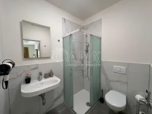 Prodej bytu 1+kk, Praha, Plzeňská, 52 m2