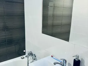 Pronájem bytu 1+1, Frýdek-Místek, Jeronýmova, 39 m2