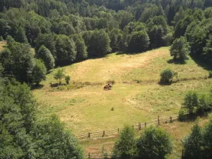 Prodej pozemku pro bydlení, Olešnice v Orlických horách, 3118 m2