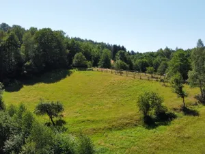 Prodej pozemku pro bydlení, Olešnice v Orlických horách, 4589 m2