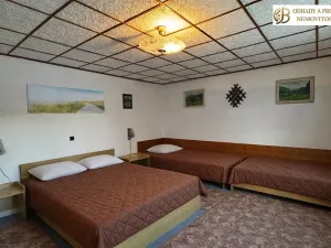 Prodej vícegeneračního domu, Bělá pod Pradědem, 170 m2