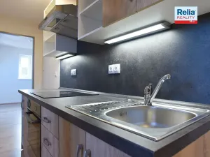 Pronájem bytu 3+kk, Liberec, Americká, 68 m2