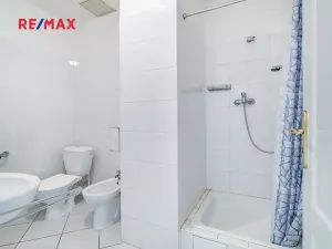 Prodej bytu 2+kk, Praha - Žižkov, Blahníkova, 40 m2