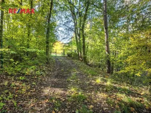 Prodej lesa, Praha - Malá Chuchle, 17570 m2