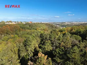 Prodej lesa, Praha - Malá Chuchle, 17570 m2