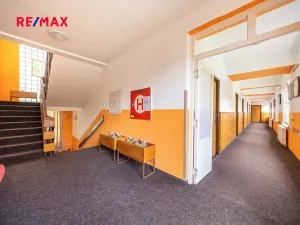 Prodej ubytování, Doksy, Pod Borným, 1700 m2