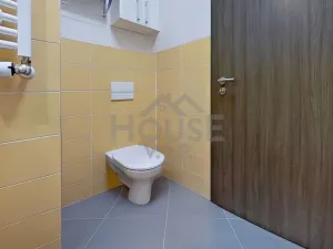 Prodej bytu 1+kk, Praha, Makedonská, 30 m2