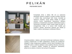 Pronájem bytu 1+kk, Mariánské Lázně, třída Vítězství, 22 m2