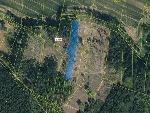 Dražba lesa, Vilice, 3593 m2