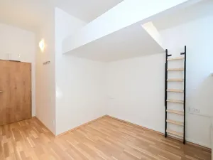 Pronájem bytu 1+kk, Praha - Smíchov, Radlická, 15 m2