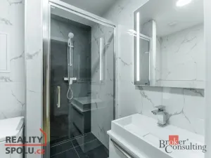 Pronájem bytu 3+kk, Praha - Libeň, Sokolovská, 44 m2