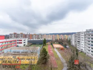 Pronájem bytu 3+kk, Praha - Libeň, Sokolovská, 44 m2