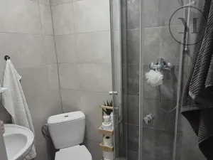 Pronájem bytu 1+kk, České Budějovice, Reinerova, 18 m2