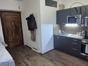 Pronájem bytu 1+kk, České Budějovice, Reinerova, 18 m2