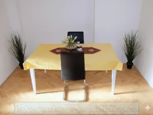 Pronájem pokoje, Praha - Břevnov, Zúžená, 21 m2