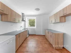 Prodej vícegeneračního domu, Kamýk nad Vltavou, 320 m2