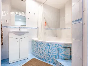 Prodej bytu 2+1, Ústí nad Labem, Střekovské nábřeží, 60 m2