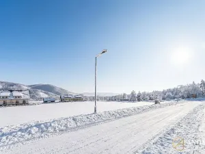 Prodej komerčního pozemku, Červená Voda, 1410 m2