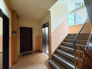 Prodej bytu 2+1, Ostrava, Dr. Malého, 44 m2