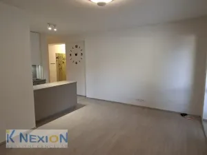 Pronájem bytu 2+kk, Dolní Kounice, Bezručova, 45 m2