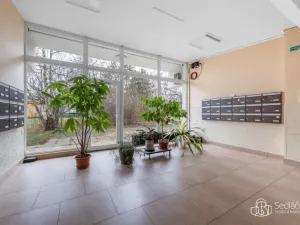 Prodej bytu 3+1, Praha - Krč, Horáčkova, 62 m2