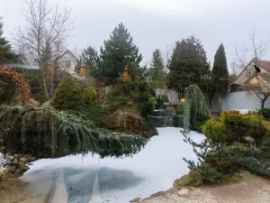 Prodej rodinného domu, Nový Jáchymov, 200 m2